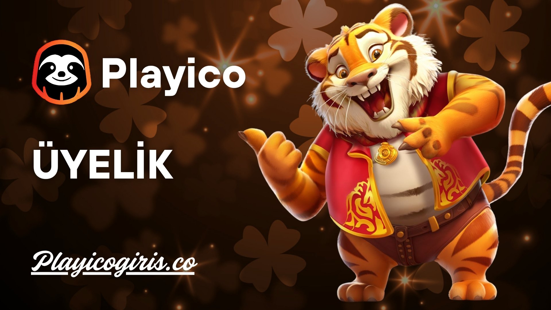 Playico üyelik